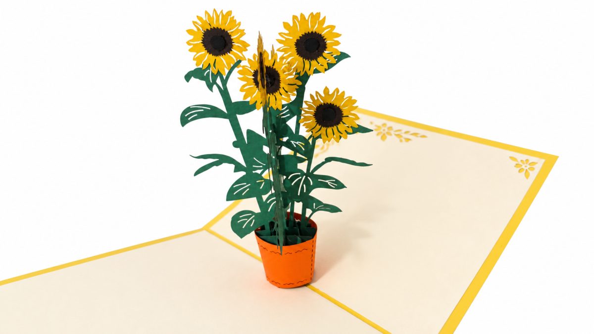 Auringonkukat ruukussa 3D pop-up-kortti – piristykseksi ja onnitteluksi
