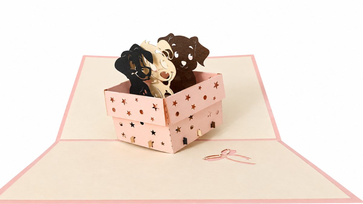 Kolme koiranpentua lahjalaatikossa 3D pop-up-kortti – syntymäpäiväkortti koiranystävälle
