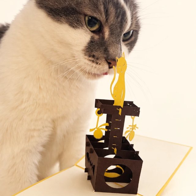 Mikko-kissa poseeraa 3D pop-up-kortin kanssa – Laaduntarkastus