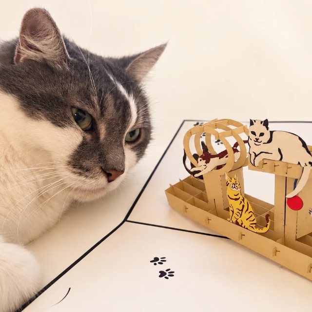 Mikko-kissa poseeraa 3D pop-up-kortin kanssa – Tarkka katse
